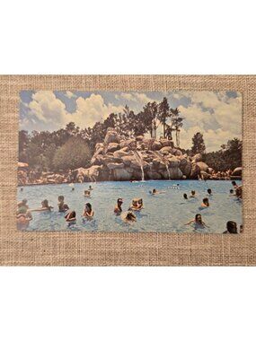 Vintage Walt Disney Productions River Country Postcard Featuring Slippery Rock P